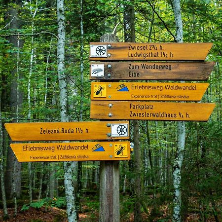 Grosser Arber, Wandern & Sauna, Gemuetliches Apartment Im Nationalpark Bayerischen Wald Lindberg Luaran gambar