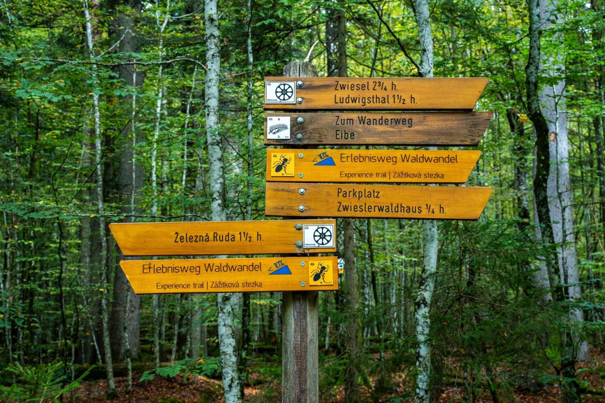 Grosser Arber, Wandern & Sauna, Gemuetliches Apartment Im Nationalpark Bayerischen Wald Lindberg Luaran gambar