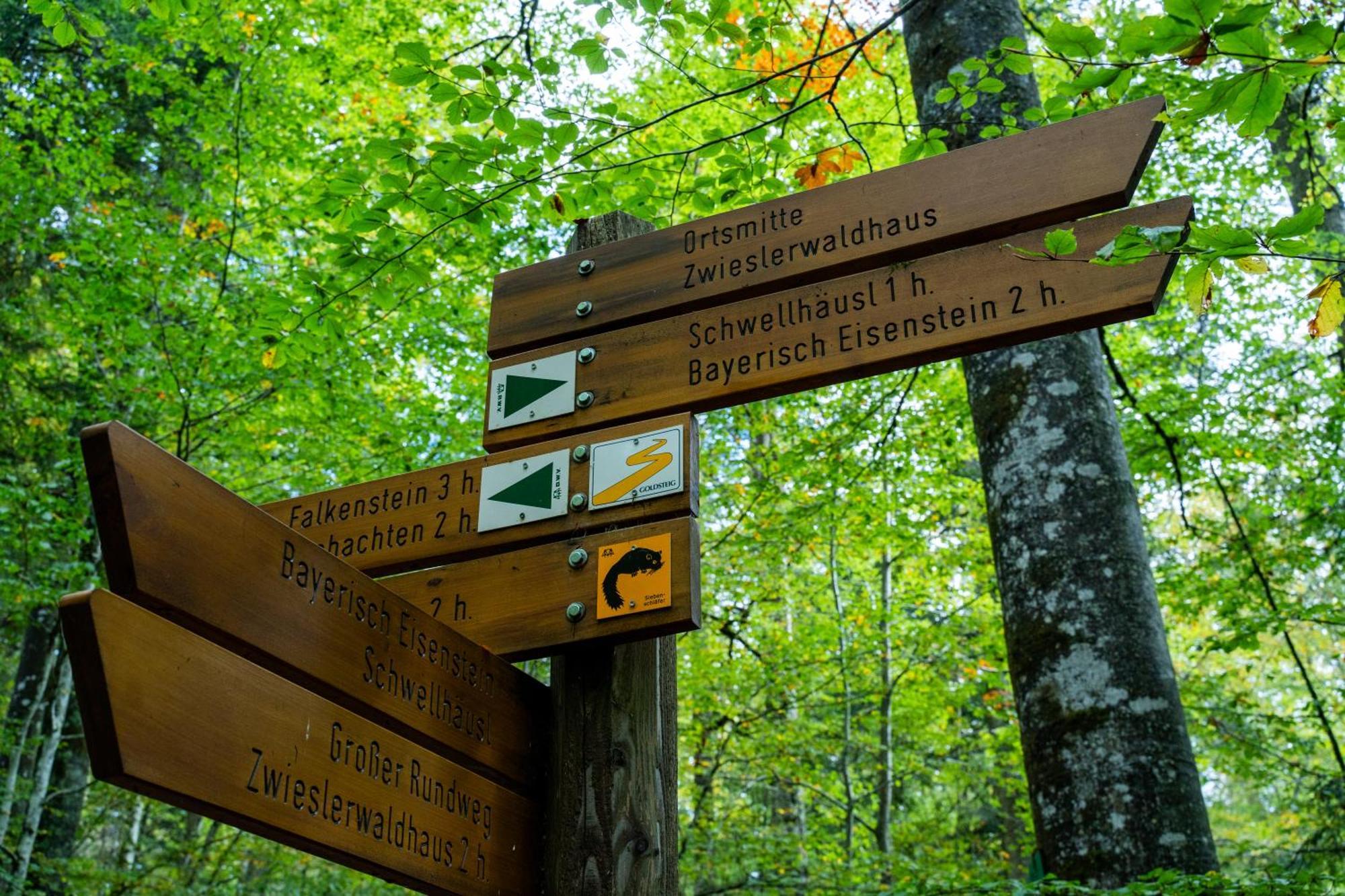 Grosser Arber, Wandern & Sauna, Gemuetliches Apartment Im Nationalpark Bayerischen Wald Lindberg Luaran gambar